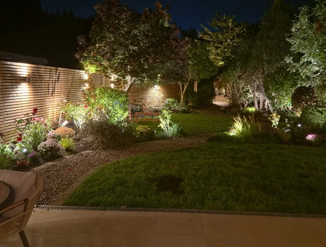 Garden at night with lighting along the timber fence and spotlights illuminating trees and planting.